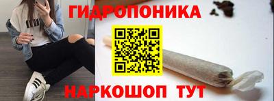 Альфа ПВП Лесосибирск